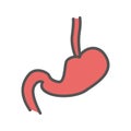 Stomach color icon. Isolated vector illustration on white background. Royalty Free Stock Photo