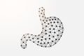 Stomach 3d low poly symbol with connected dots. Digestive system, human transplantation design vector illustration