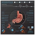 Stomach And Digestive Tract Anatomy System Medical Infographic I