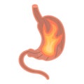 Stomach fire icon, isometric style