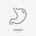 Stomach flat line icon. Vector thin pictogram of human internal organ, outline illustration for gastroenterologist