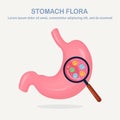 Stomach flora. Digestive system, tract with cute good bacteria, virus, microorganisms, probiotics isolated on white background. Royalty Free Stock Photo