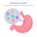 Stomach flora. Digestive system, tract with cute good bacteria, virus, microorganisms, probiotics isolated on white background. Royalty Free Stock Photo