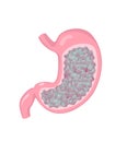 Stomach with gas and bloating feeling. Human internal organ disorder pathology.