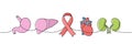 Stomach, heart, liver, kidneys one line colored continuous drawing. Cancer awareness ribbon, AIDS ribbon continuous one