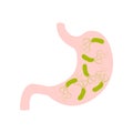 Stomach with helicobacter pylori flat icon