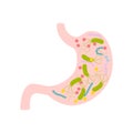 Stomach with helicobacter pylori icon flat style