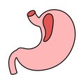 stomach, human stomach, body parts stomach icon