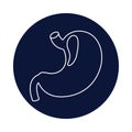 stomach, human stomach, body parts stomach icon