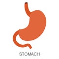 Stomach icon in flat style isolated on white background. Human anatomy medical organ vector Royalty Free Stock Photo