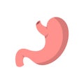 Stomach icon, flat style Royalty Free Stock Photo