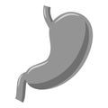 Stomach icon, gray monochrome style