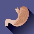 Stomach icon with long shadow