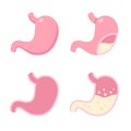 Stomach icon set