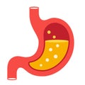 Stomach illustration