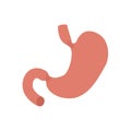 Stomach illustration on white background.