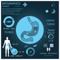 Stomach Infographic Infocharts