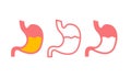 Stomach line icon medical outline symbol. Flat line stomach gastric icon