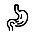 stomach. linear icon. Line with editable stroke