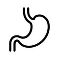 stomach. linear icon. Line with editable stroke