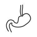 Stomach linear icon. Thin line illustration. Vector isolated outline drawing.