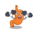 Stomach mascot design feels happy lift up barbells during exercise