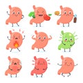 Stomach mascot. Stomaches medical character cute face healthy abdomen, crying gastric pain ulcera gut happy strong belly