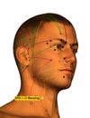 Acupuncture Point ST9 Renying, 3D Illustration, White Background