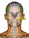 Acupuncture Point ST3 Juliao, Stomach Meridian