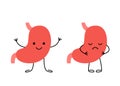 Stomach organ happy healthy face and sad suffering sick characters. Check health of stomach. Unhealthy sad gastric, pain