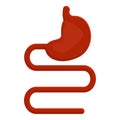 Stomach small intestine icon, cartoon style