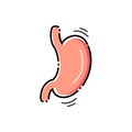 Stomach vector icon. Royalty Free Stock Photo