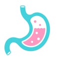 Stomach vector icon