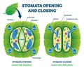 Stomata opening and closing vector illustration. Labeled educational scheme Royalty Free Stock Photo