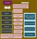 Stomatitis - Assessments and Nursing Considerations