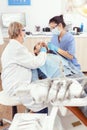 Stomatologist senior woman performing examination and taking care of teeth