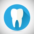 Stomatology and Dental Treatment Symbol Tooth Icon