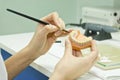 Stomatology technician preparing prosthesis