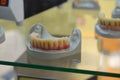 Stomatology teeth models dental education model with denture