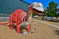 Stomper the sauropod at the great plains dinosaur museum in Malta Montana