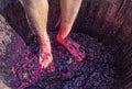 Stomping grapes - man`s feet with hairy legs in wooden barrel with smushed up grapes