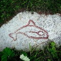 Stone Age carving depicting the fish - painted for better visibility, Frosta Peninsula, Norway