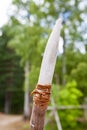 Stone age spear for hunting Royalty Free Stock Photo