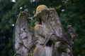 Stone angel and angel wings on historic cemetery Royalty Free Stock Photo