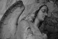 Stone angel and angel wings on historic cemetery Syracuse, Siracusa, Sicily, Italy Royalty Free Stock Photo