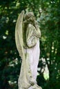 Stone angel statue on historic cemetery Royalty Free Stock Photo