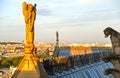 Stone Angel statue on the Notre Dame`s roof Royalty Free Stock Photo