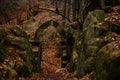 Stone arch fairytale portal with autumn leaves, Vranov castle gothic ruins with pantheon on steep sandstone rock cliff near