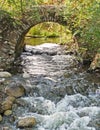 Stone arch over rushing stream Royalty Free Stock Photo