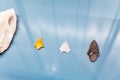 arrowheads as primitive weapon and tools, archeology concept